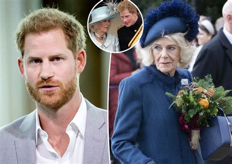 Prince Harry accuses Camilla of ‘dangerous’ leaks to。